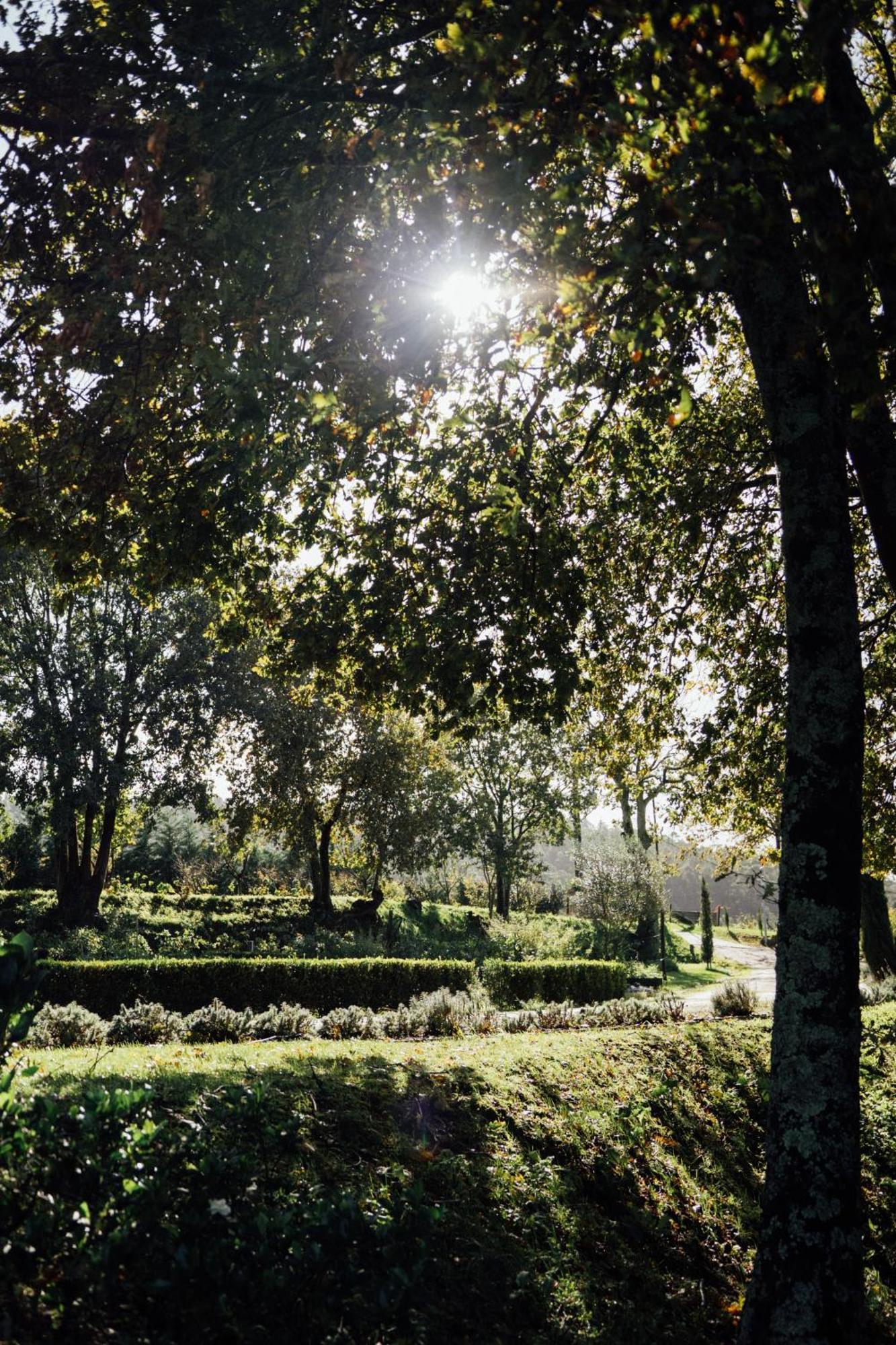 Quinta das Essências Penafiel Exterior foto